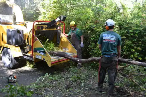 tree services Wetumpka